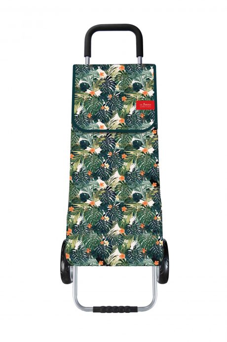POUSSETTE DE MARCHE - MODELE PALMIERS