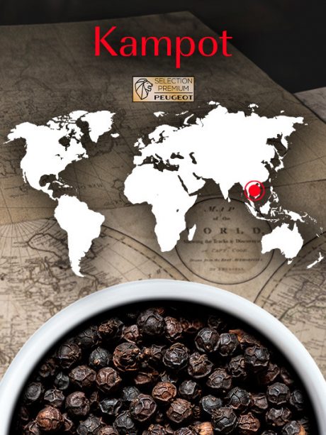 COFFRET 3 SACHETS FRAICHEUR - KAMPOT POIVRE NOIR DU CAMBODGE 3x20g – Image 2