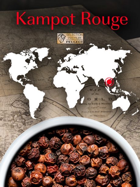 COFFRET 3 SACHETS FRAICHEUR - KAMPOT POIVRE ROUGE DU CAMBODGE 3x20g – Image 2