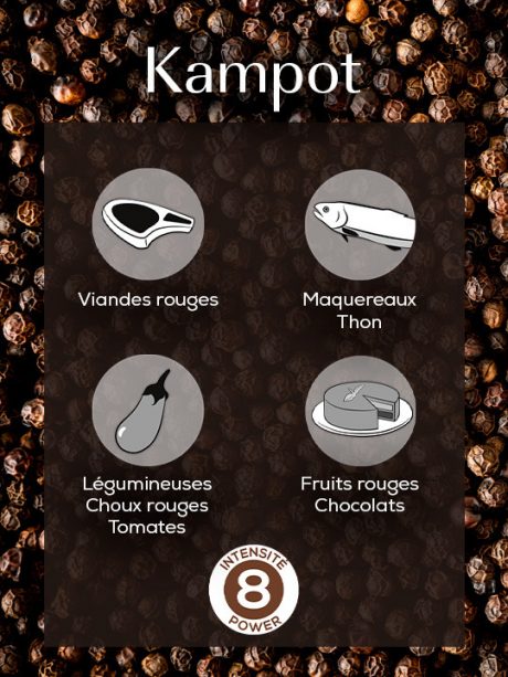 COFFRET 3 SACHETS FRAICHEUR - KAMPOT POIVRE NOIR DU CAMBODGE 3x20g – Image 3