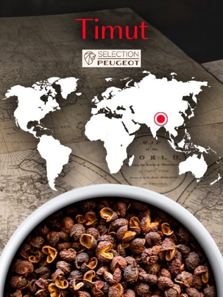 COFFRET 4 SACHETS FRAICHEUR - TIMUT POIVRE SAUVAGE DU NEPAL 4x10g – Image 2