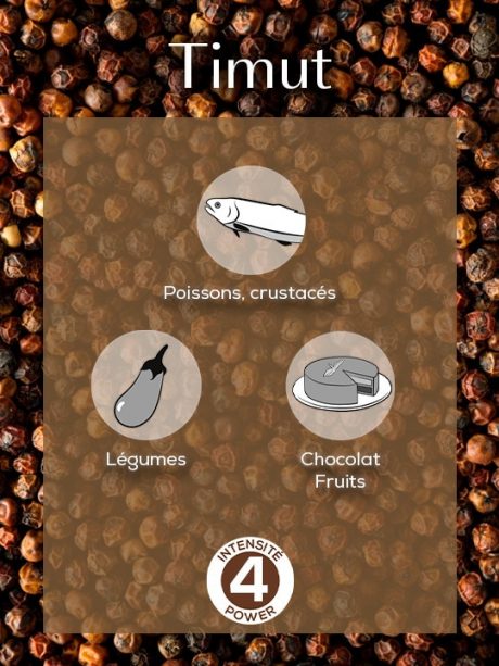 COFFRET 4 SACHETS FRAICHEUR - TIMUT POIVRE SAUVAGE DU NEPAL 4x10g – Image 3