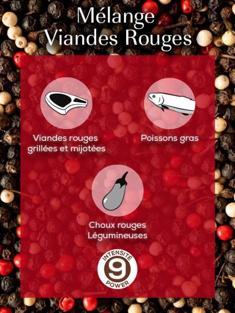 COFFRET 3 SACHETS FRAICHEUR - MELANGE POIVRES MIX VIANDES ROUGES 3x20 g – Image 2