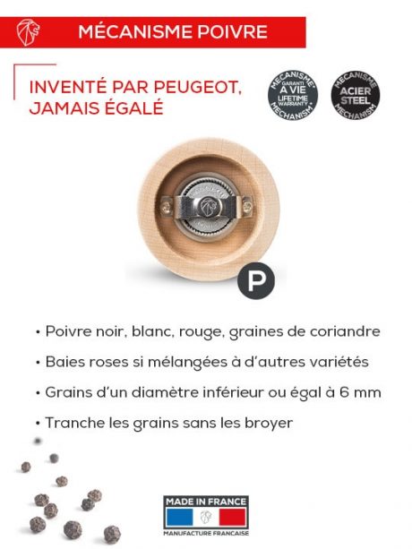 MOULIN A POIVRE BBQ – Image 7