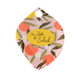 REPOSE SACHET THE - AGRUMES