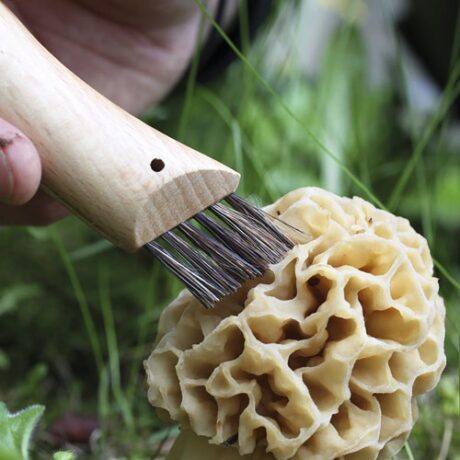COUTEAU A CHAMPIGNON - OPINEL – Image 3