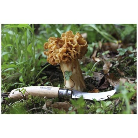 COUTEAU A CHAMPIGNON - OPINEL – Image 2