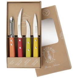 COFFRET 4 COUTEAUX UTILITAIRES - MANCHES COULEURS