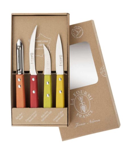 COFFRET 4 COUTEAUX UTILITAIRES - MANCHES COULEURS