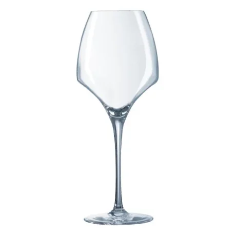 COFFRET 2 VERRES A DEGUSTATION - OPEN UP 40 cl