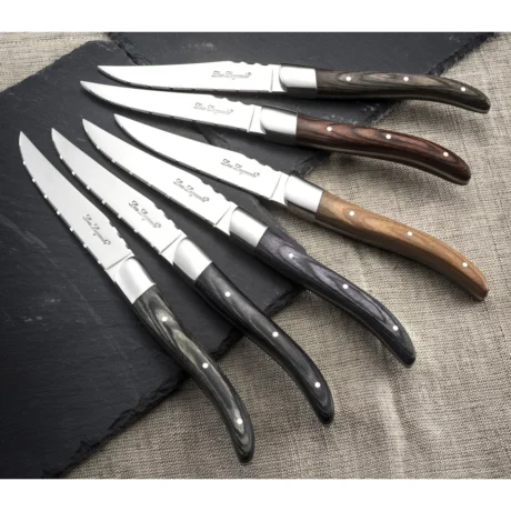 COFFRET 6 COUTEAUX A STEAK - MULTICOLORE – Image 4