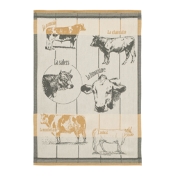 TORCHON - RACES BOVINES