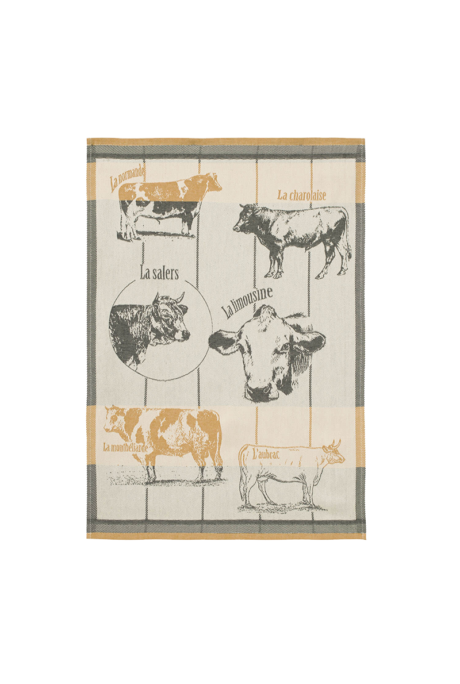 TORCHON - RACES BOVINES
