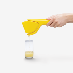 PRESSE CITRON MANUEL
