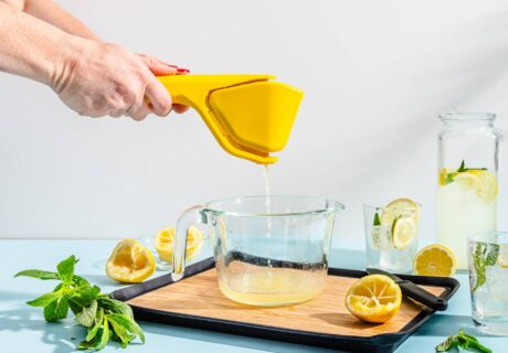PRESSE CITRON MANUEL – Image 6