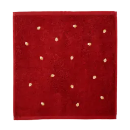 CARRE EPONGE - CHARMES D'AUTOMNE