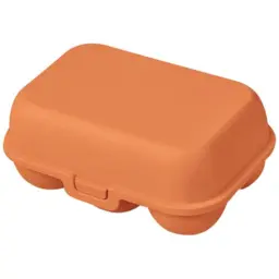 BOITE A ŒUFS - CORAIL