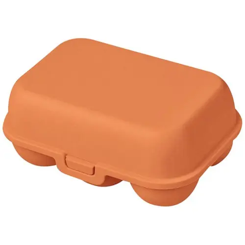 BOITE A ŒUFS - CORAIL